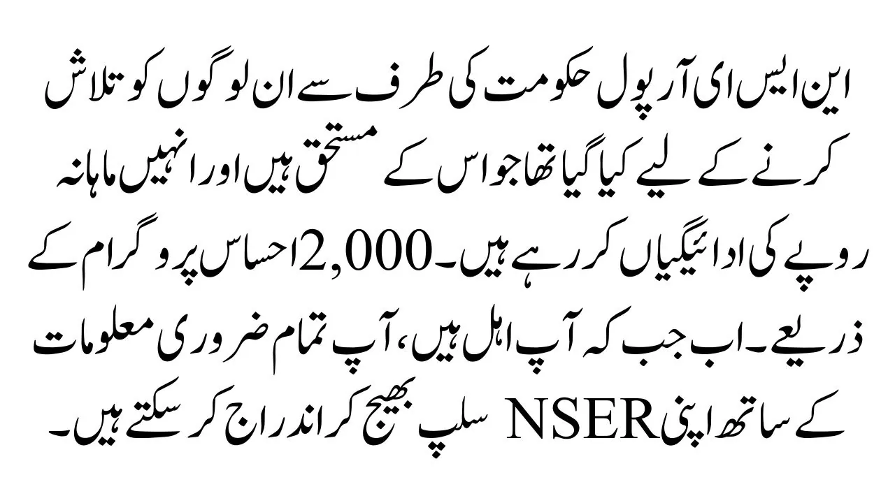 Online CNIC Verification for NSER Survey