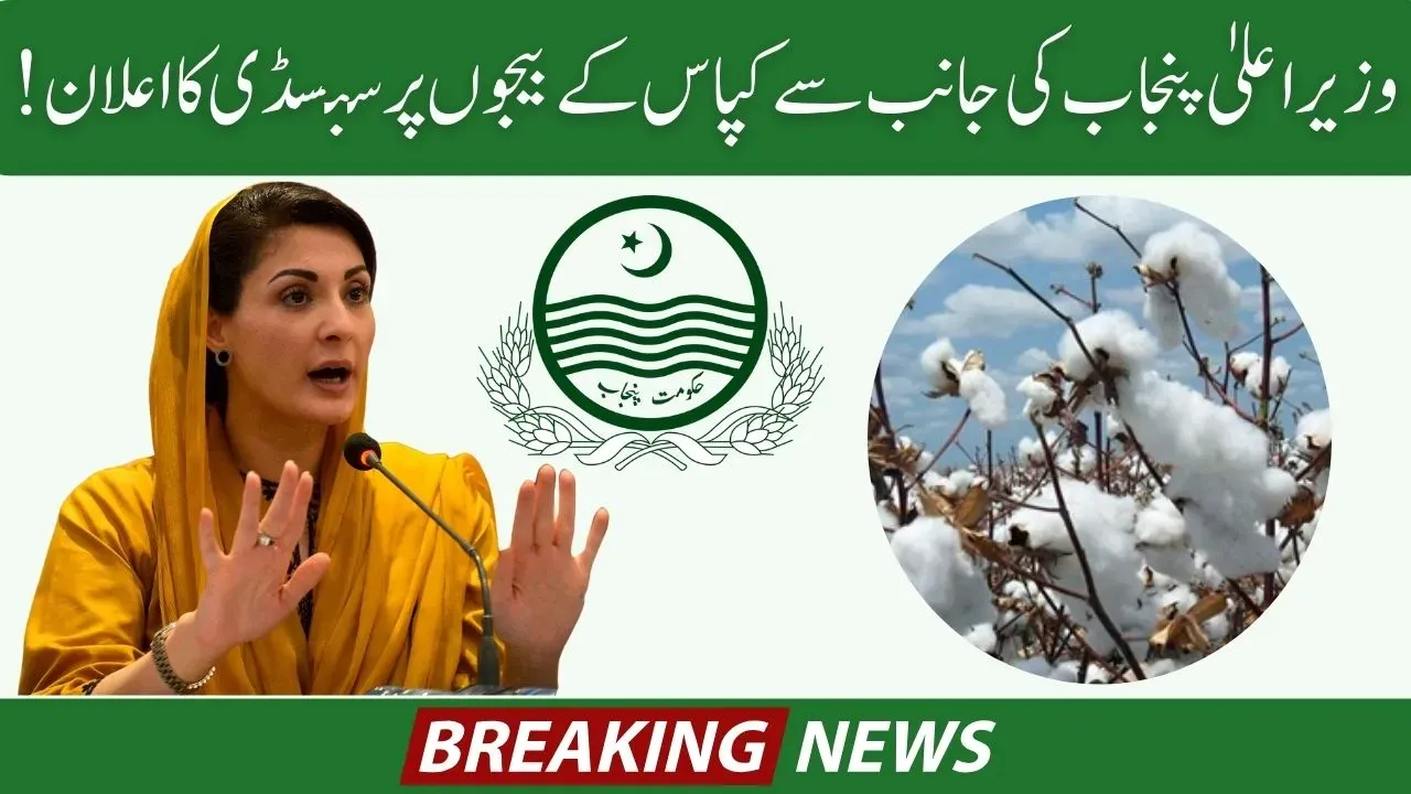 Breaking News_ Subsidy on Cotton Seeds Announced by CM Punjab Starting 10 August 2024