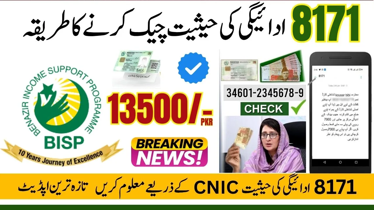 How to Check Status 8171 Payment Using CNIC May 2025 (Latest Update)