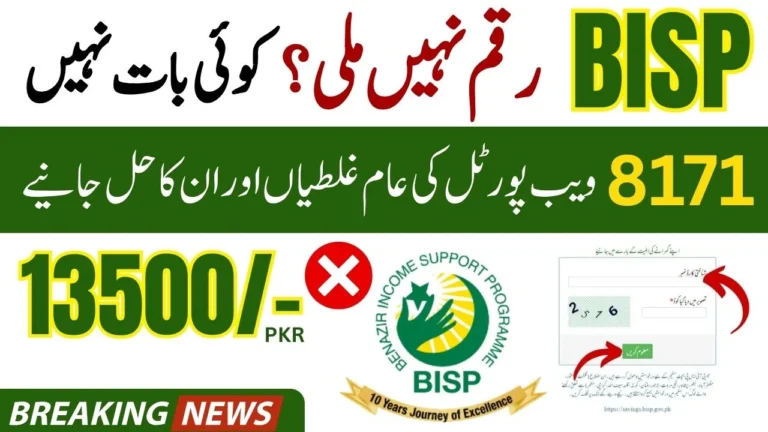 Payment Not Received 8171 BISP Web Portal Common Errors Explained